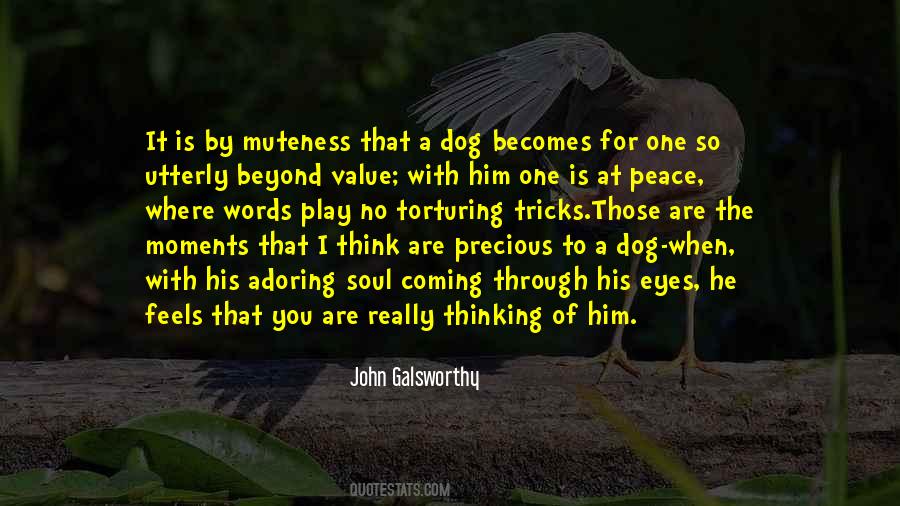 Quotes About A Dog's Soul #1493011