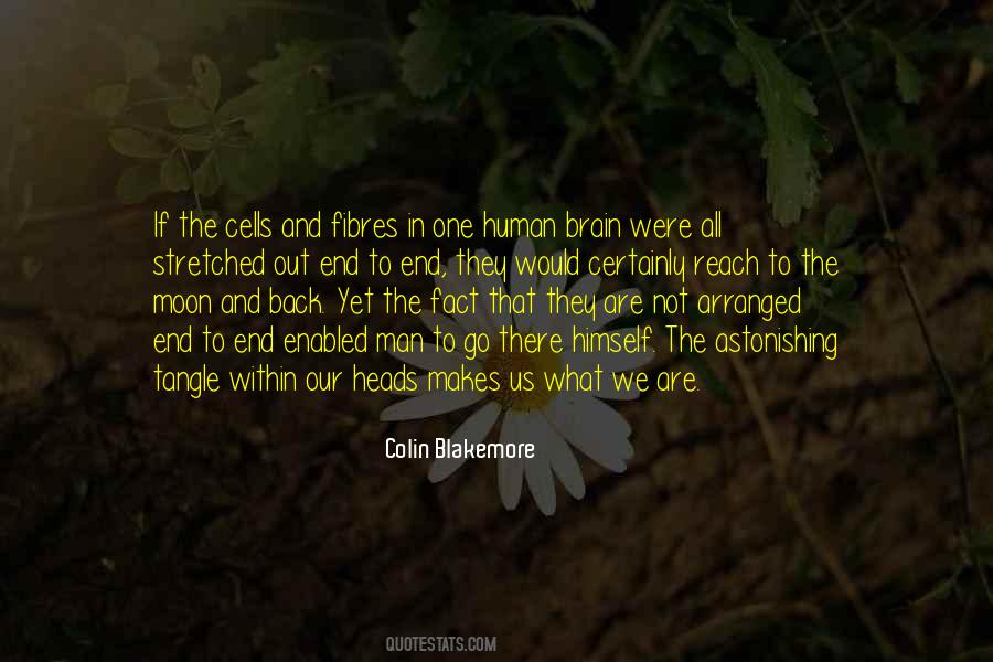 Quotes About What Makes Us Human #1631959