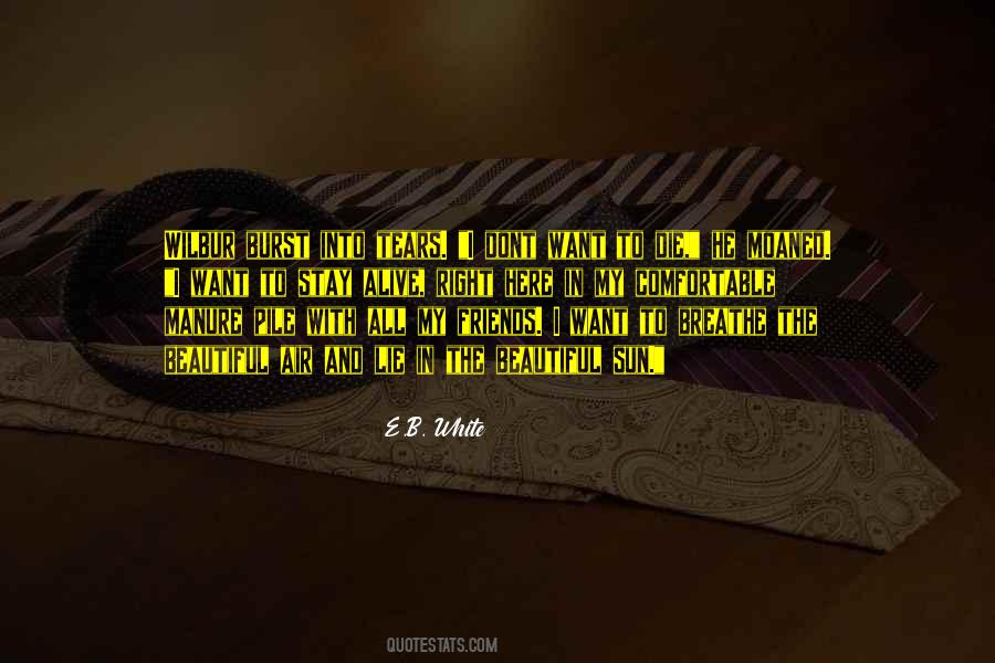 Stay Beautiful Quotes #839128