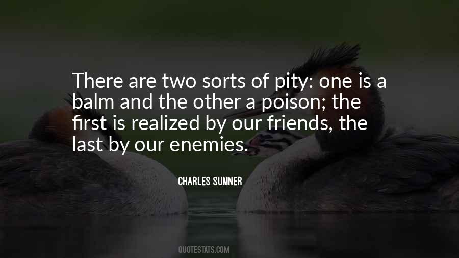 Quotes About Enemy And Friends #209588