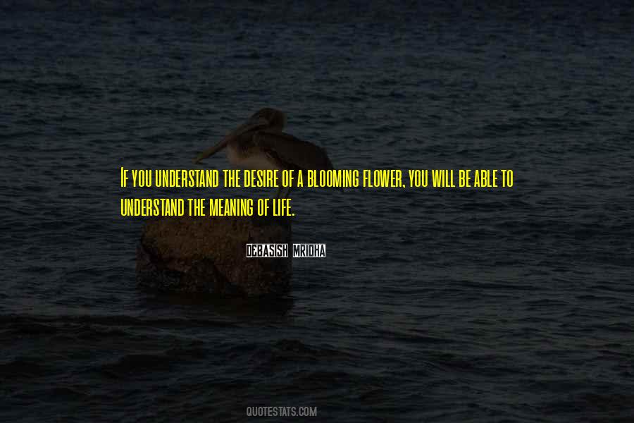 Understanding A Flower Quotes #175005
