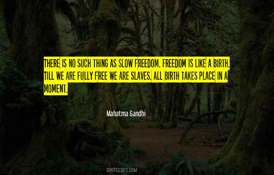 Freedom Freedom Quotes #738593