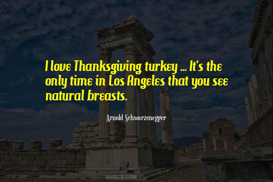 Quotes About Thanksgiving Turkey #1278831