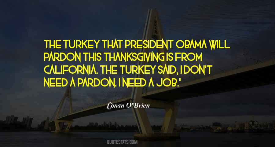 Quotes About Thanksgiving Turkey #20617
