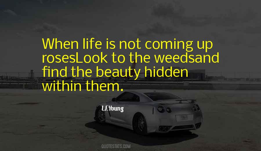 Hidden Within Quotes #1528023