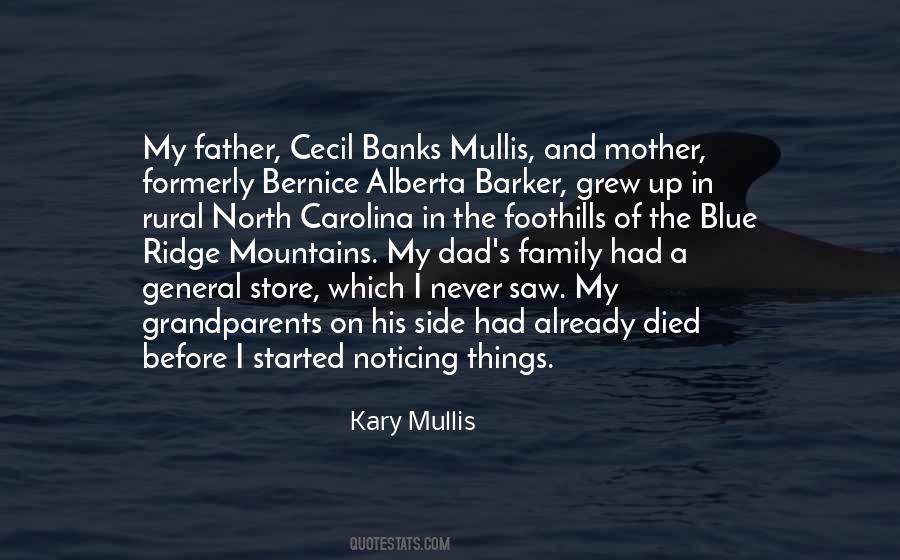 Quotes About Dad Died #1240050