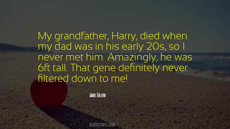 Quotes About Dad Died #1568127