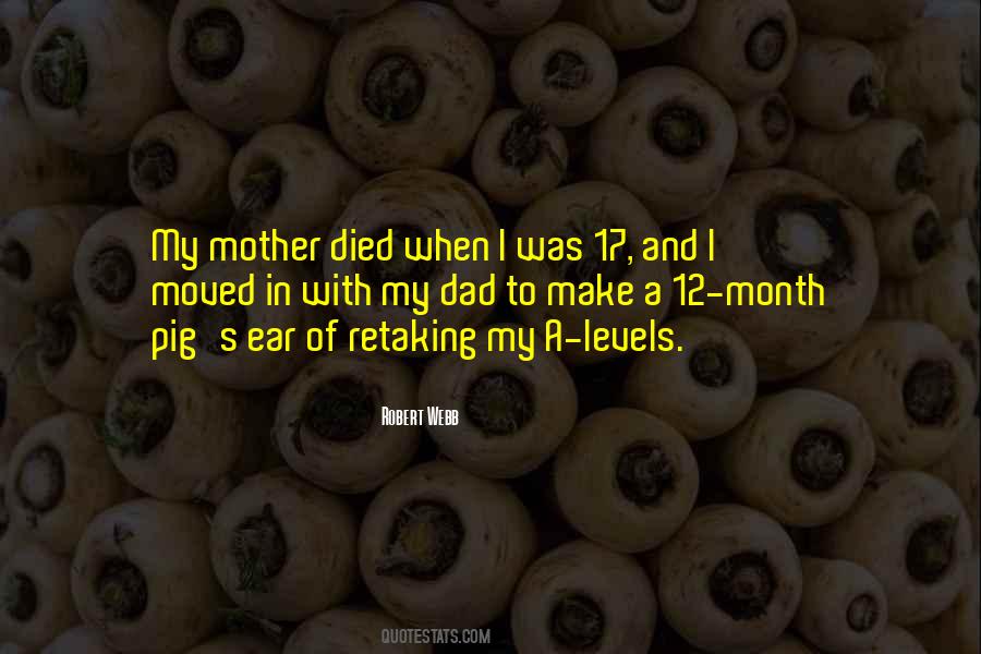 Quotes About Dad Died #945209