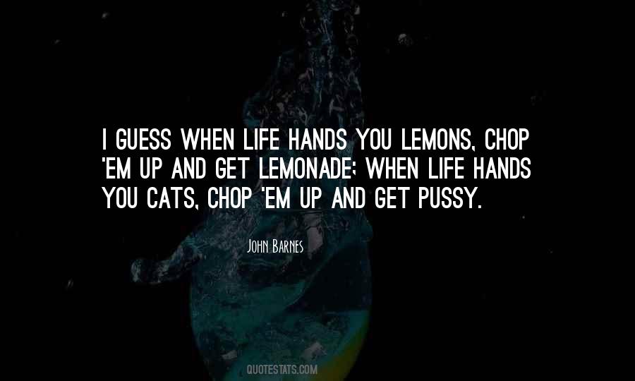 Lemonade From Life S Lemons Quotes #1437153