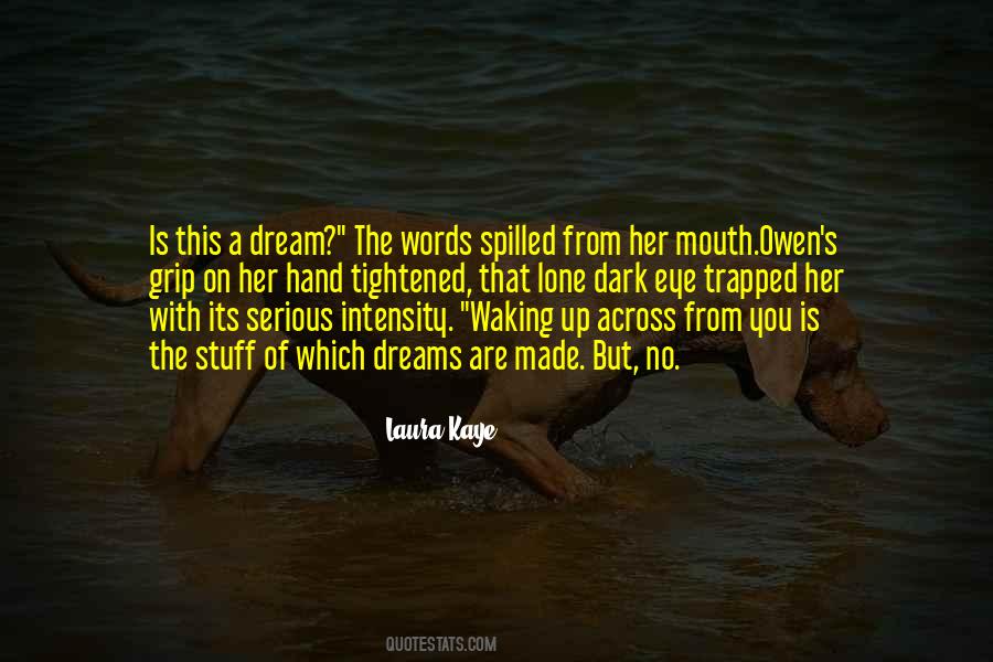 Dark Dream Quotes #784479