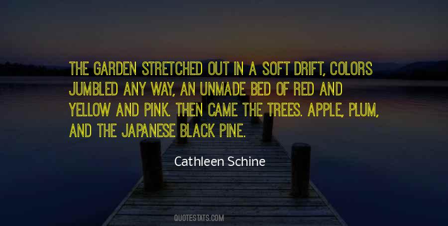 H C3 A0 Kin Quotes #715039