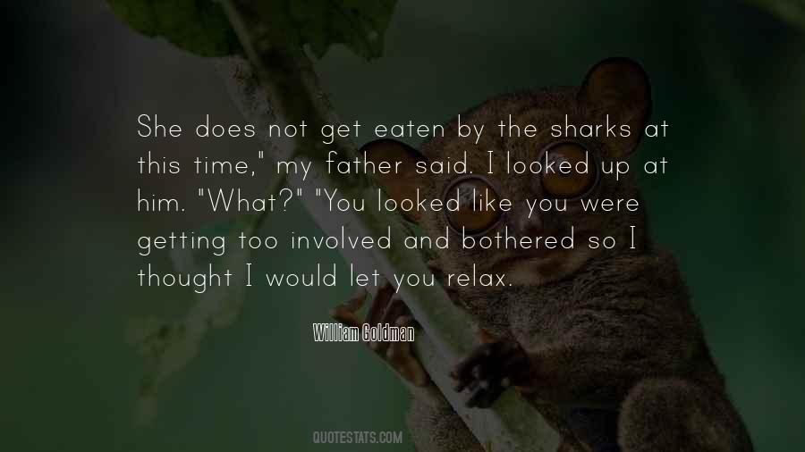 Sharks What Quotes #695910