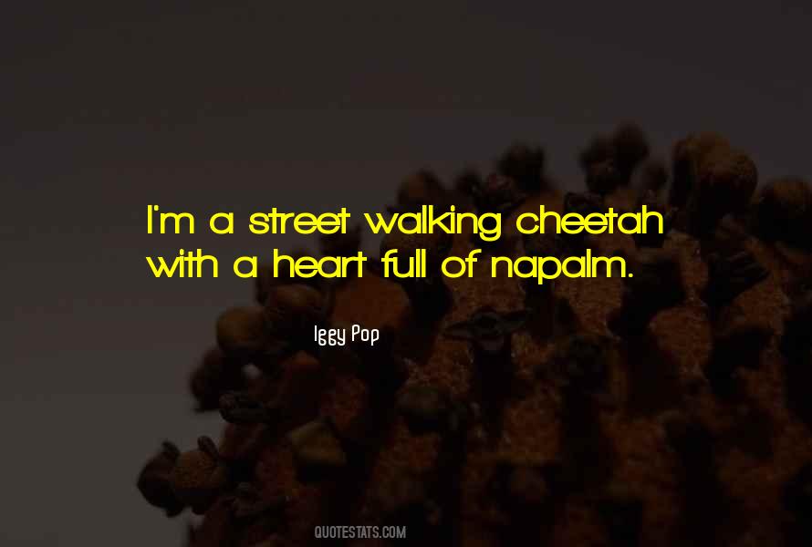 Quotes About Cheetah #1628863