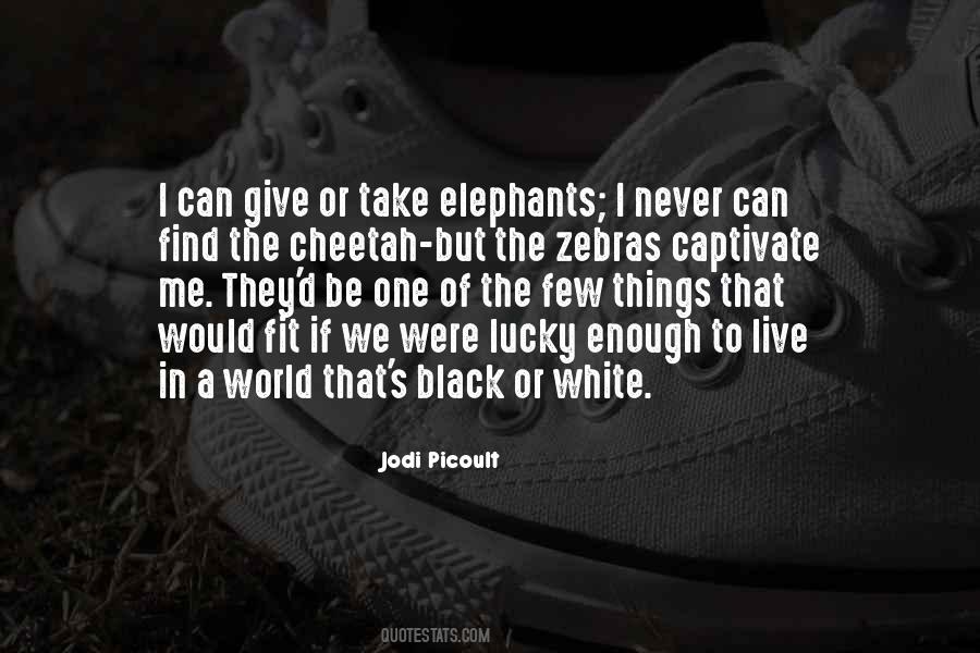 Quotes About Cheetah #217644