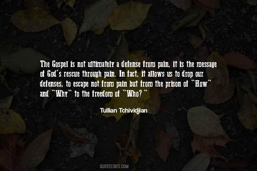 Escape The Prison Quotes #1264634