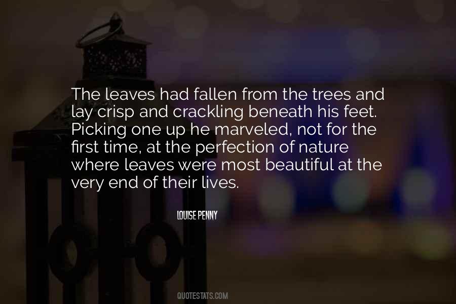 Quotes About Fallen Trees #842324