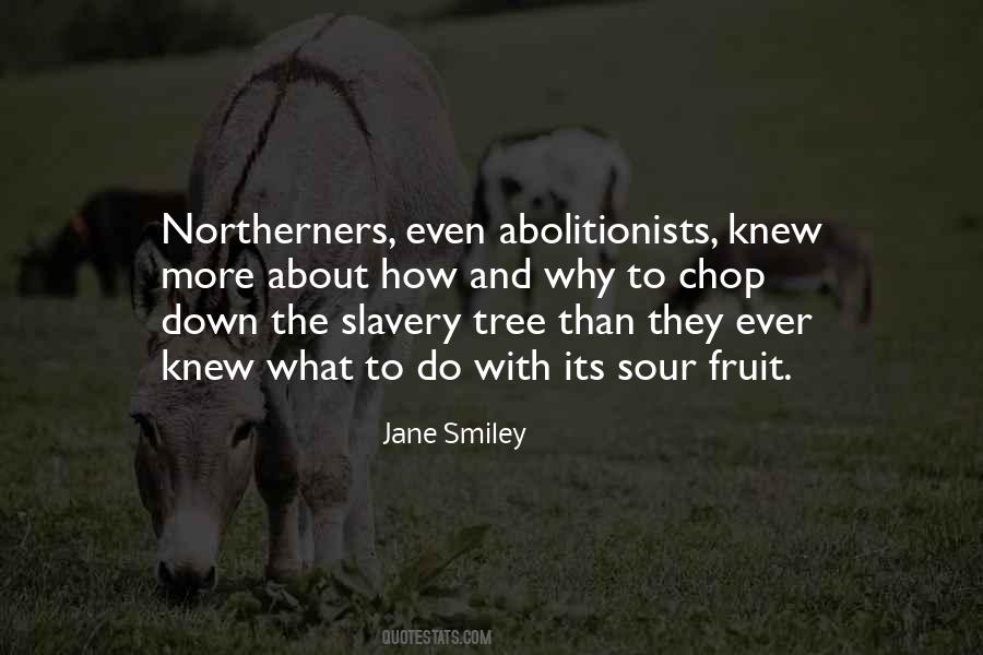 Quotes About Abolitionists #1789532