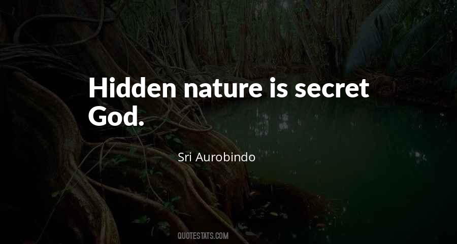Quotes About Hidden #1680534