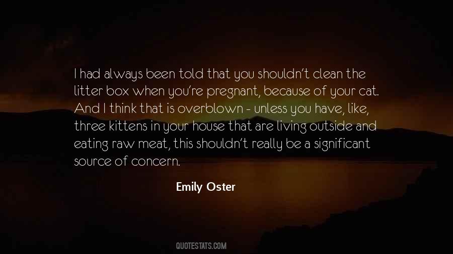 Clean Your House Quotes #1287377