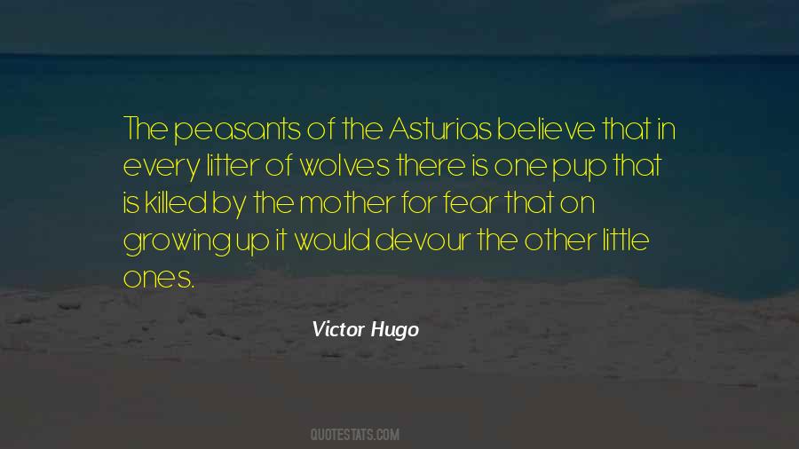 Quotes About The Victor #9522