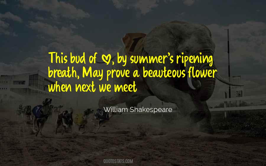 Flower Of Love Quotes #196914