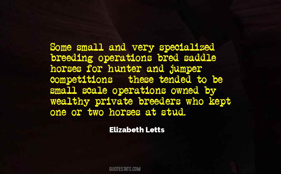Small Scale Quotes #127236
