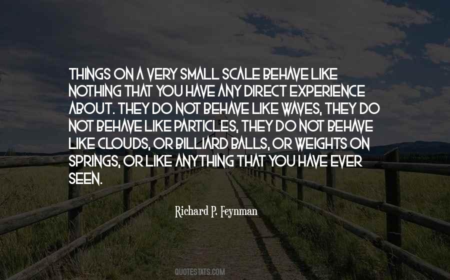 Small Scale Quotes #13047