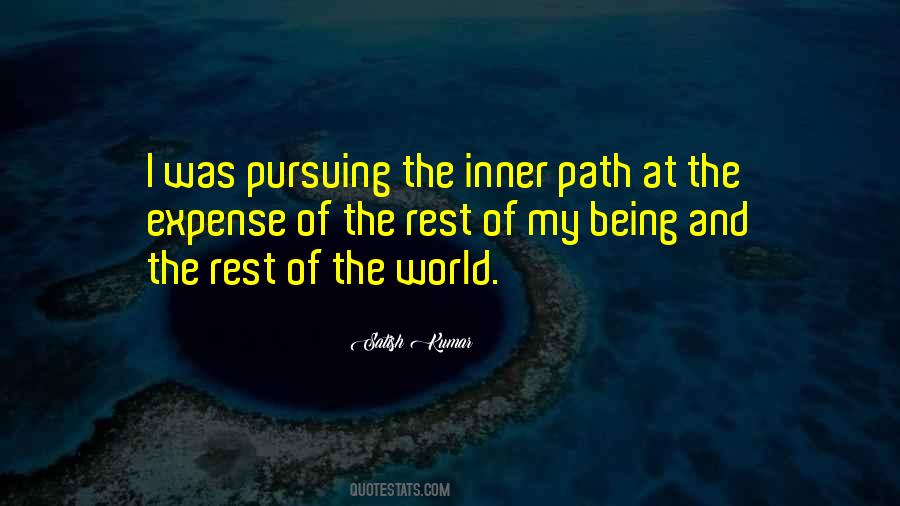 Quotes About Pursuing #1294756