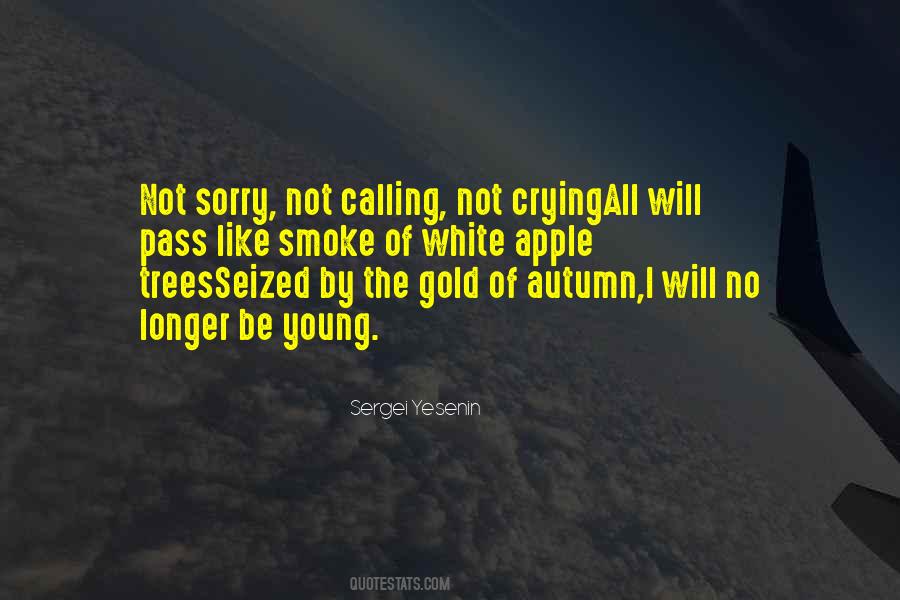 Russian Poetry Quotes #337692