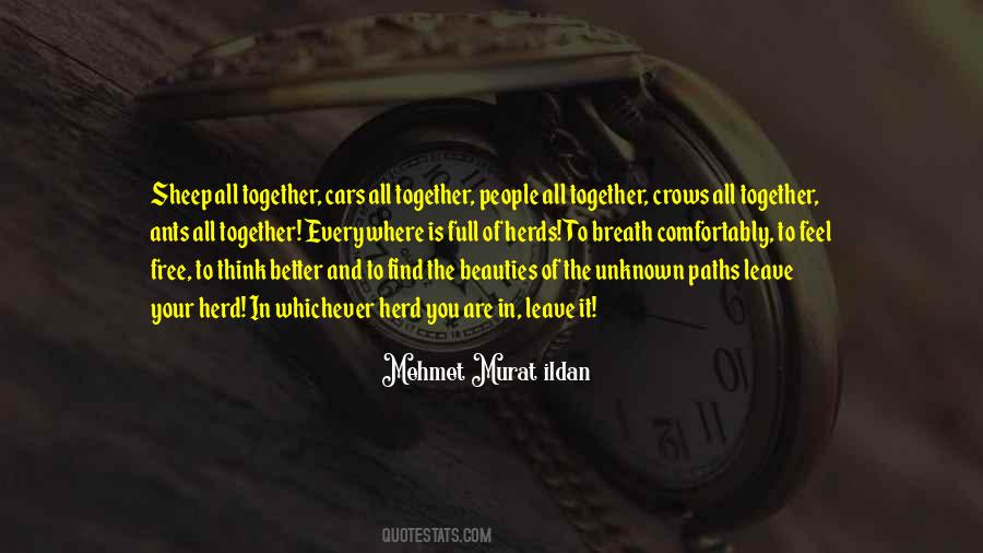 Quotes About Unknown Paths #938355