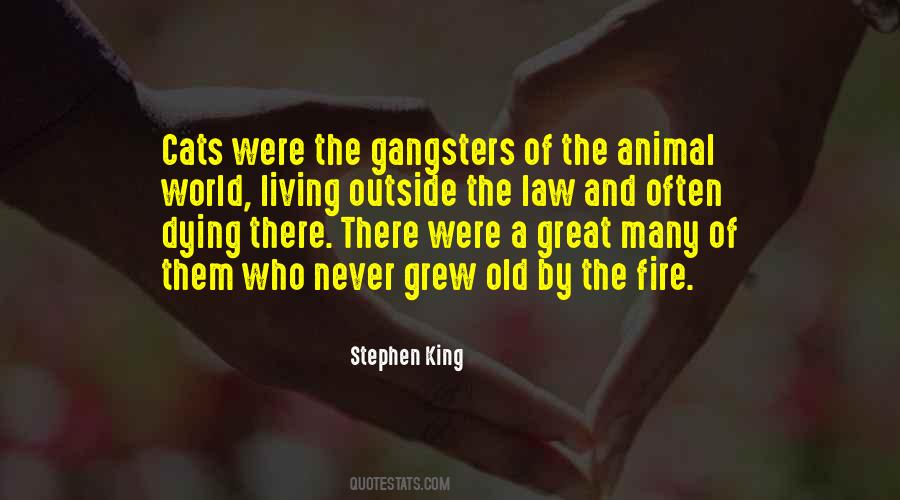Great Old Ones Quotes #19411
