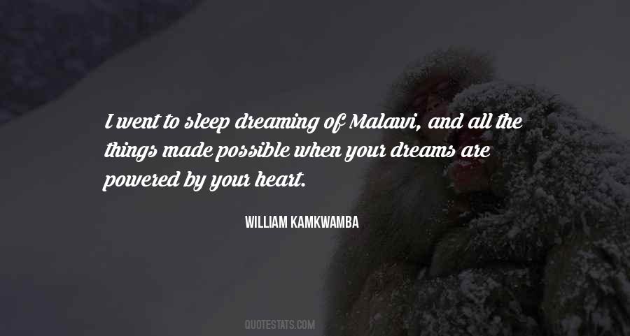 Kamkwamba William Quotes #1426388