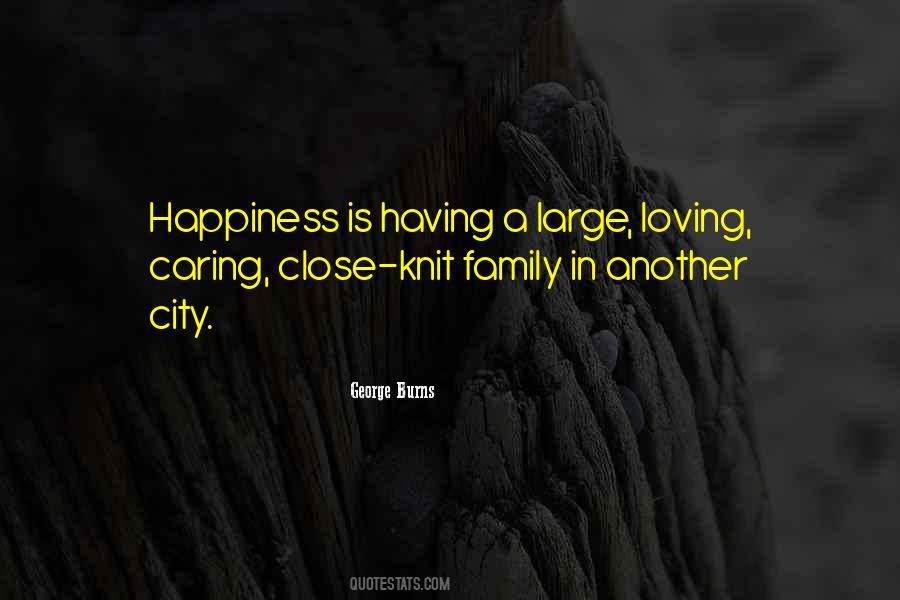 Quotes About Having A Large Family #1776013