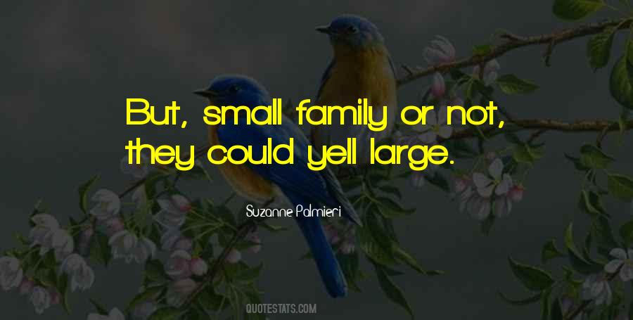 Quotes About Having A Large Family #429591
