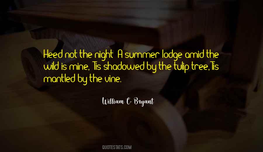 Summer Night Quotes #469046