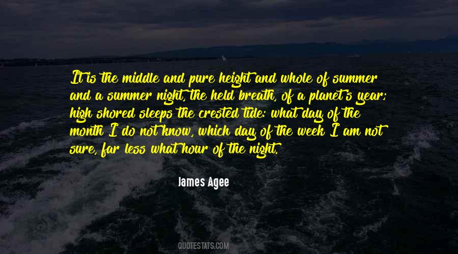 Summer Night Quotes #49472