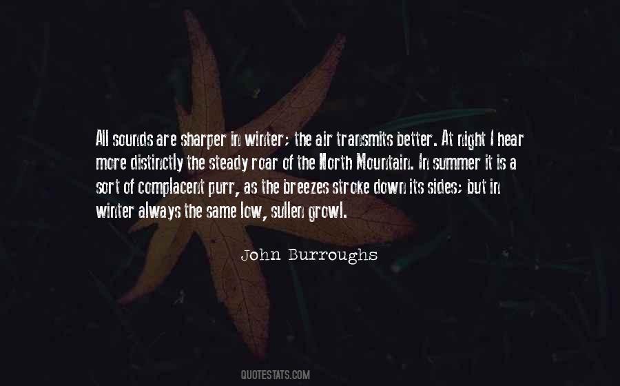 Summer Night Quotes #651495