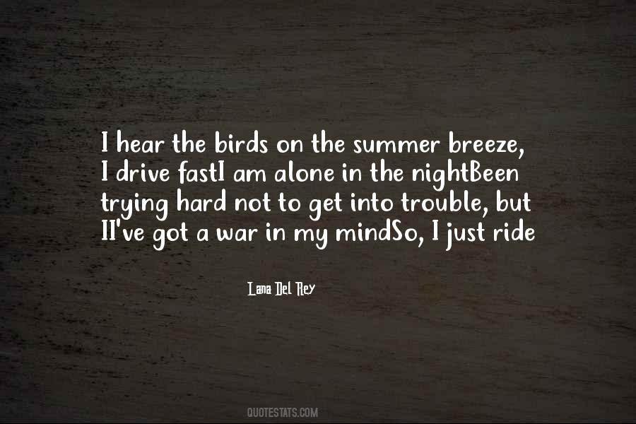 Summer Night Quotes #680069