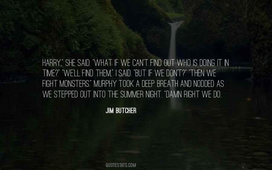 Summer Night Quotes #704663