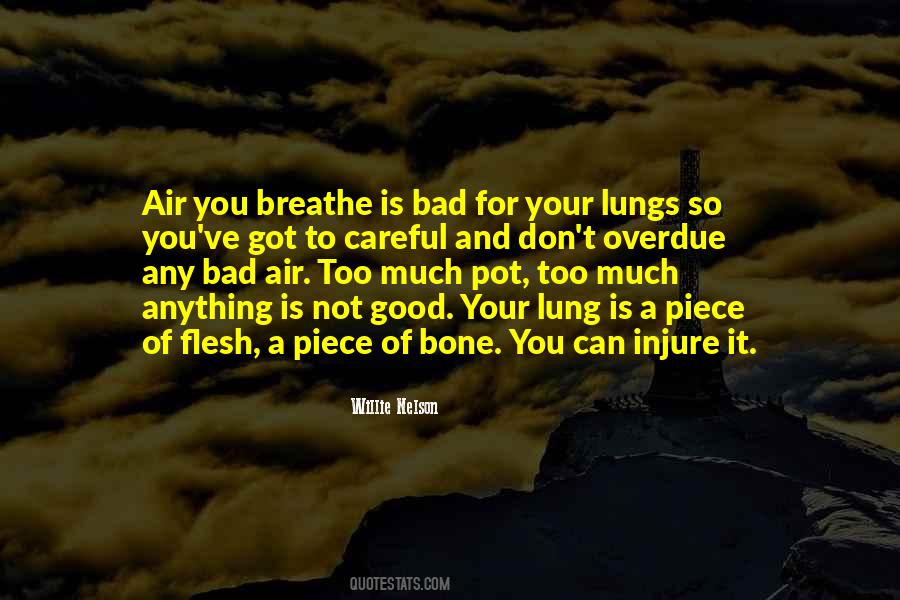 Quotes About Lungs #1396462