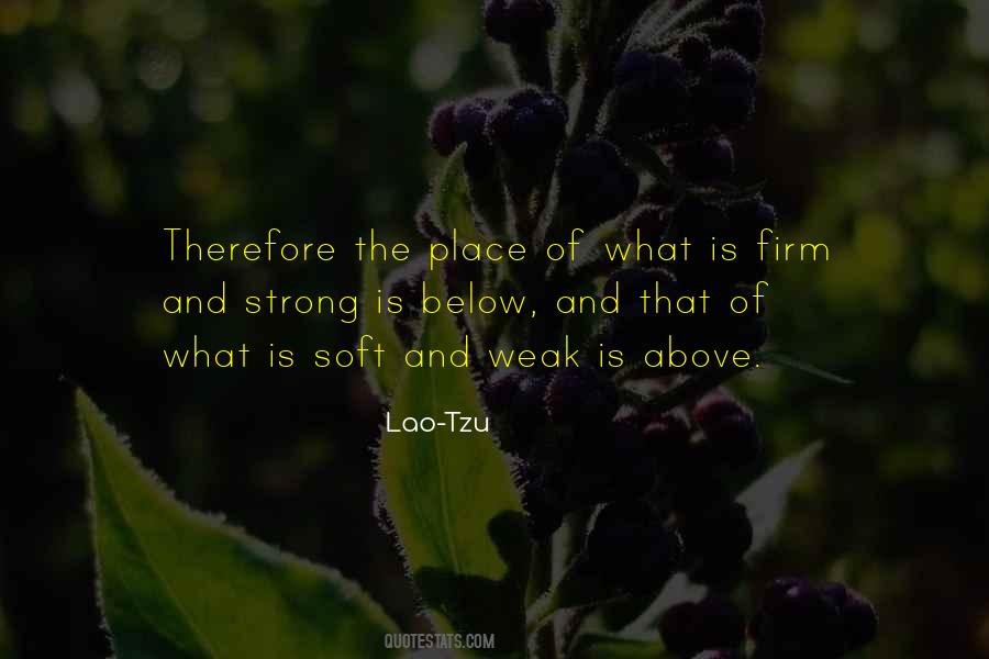 Quotes About Strong And Weak #59373
