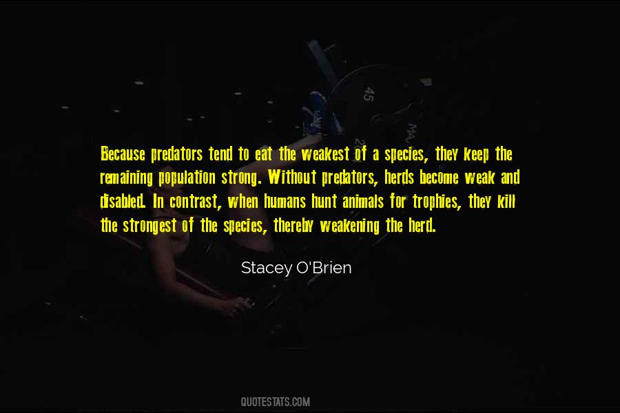 Quotes About Strong And Weak #95563