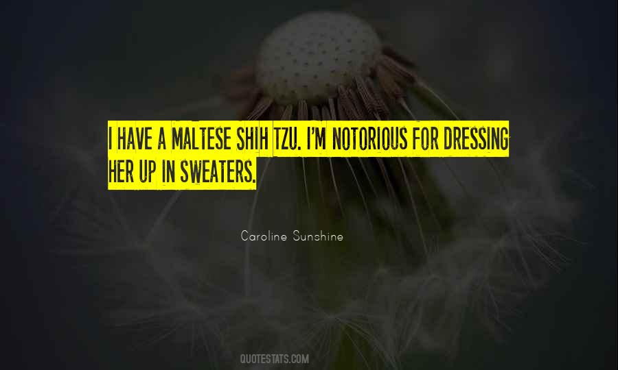 Quotes About Sweaters #162269