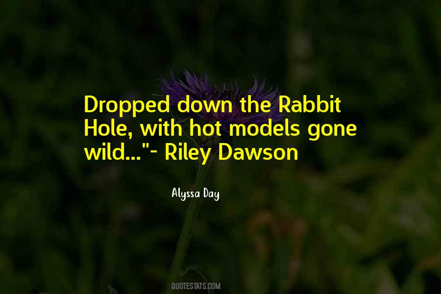 Quotes About Going Down The Rabbit Hole #151415