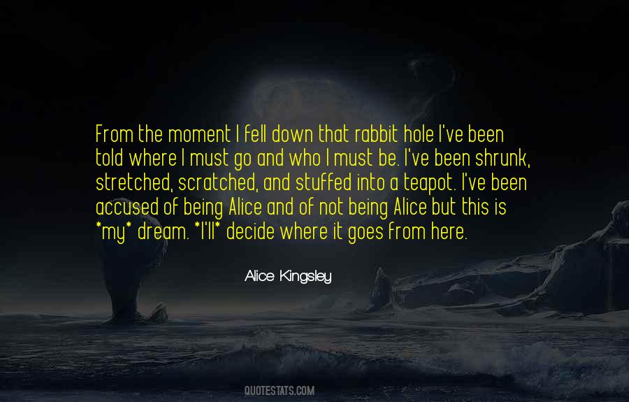 Quotes About Going Down The Rabbit Hole #1739207