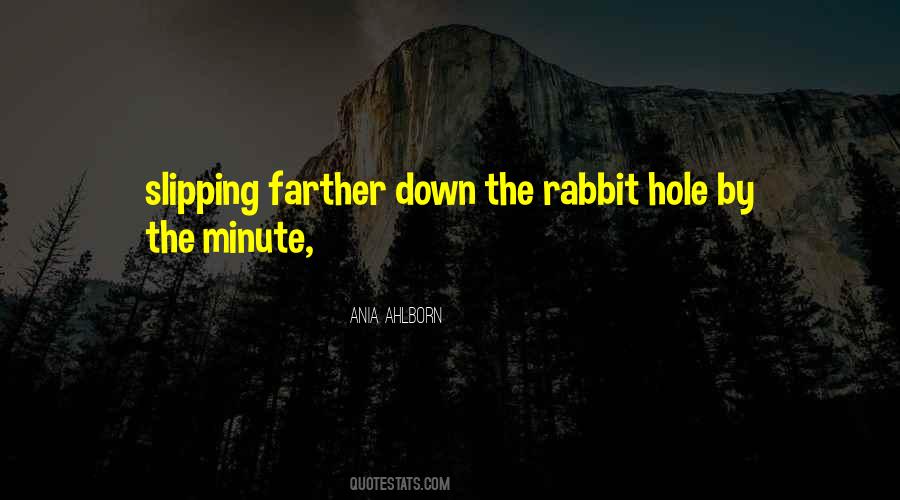 Quotes About Going Down The Rabbit Hole #339023