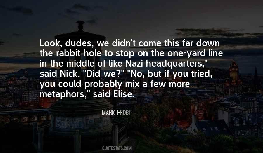 Quotes About Going Down The Rabbit Hole #823964