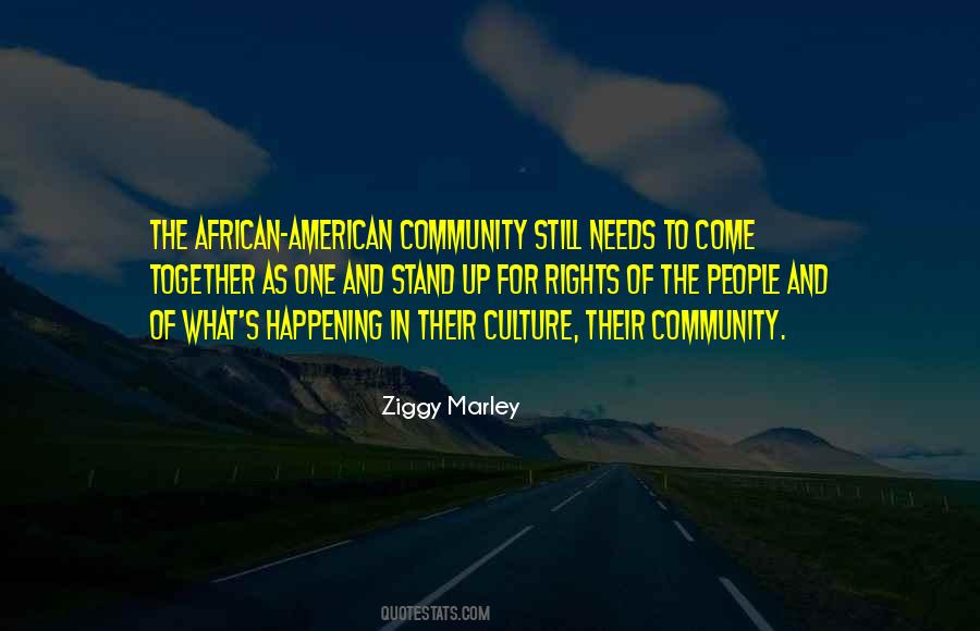 Quotes About African American Culture #1242320