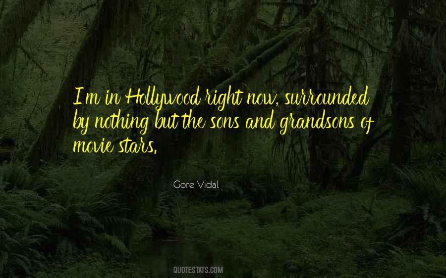 My Grandsons Quotes #1371042