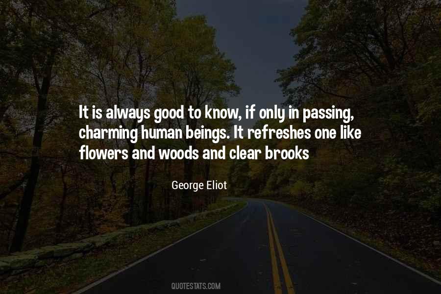 Quotes About Good Human Beings #695875